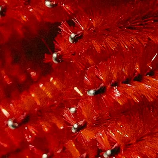 Yearlong Glam at The Lash Cottage, LLC in San Tan Valley, AZ